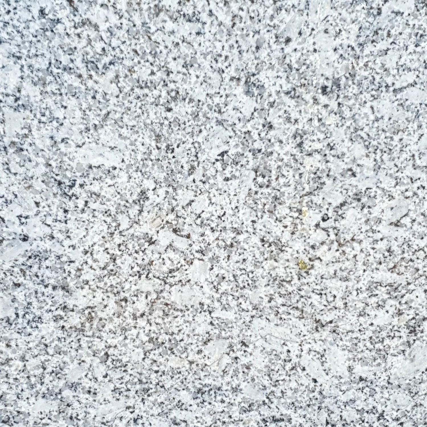 South White Granite